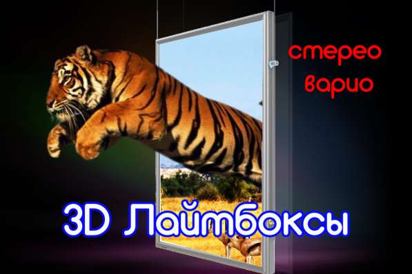 Живой лайтбокс в фото 5