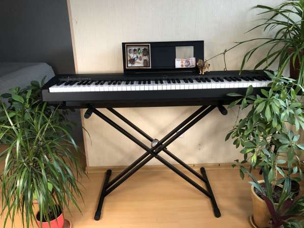 Электронное пианино Casio CDP-130 в аренду