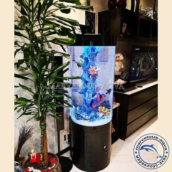 Где купить аквариум в Челябинске фото 13