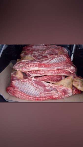 Мясо свинины ! в Калуге