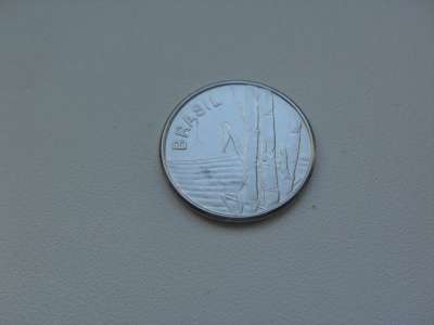 Монета 1 Крузейро 1981 год Бразил в Москве