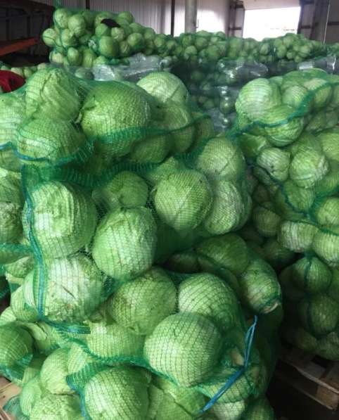 Доставка овощей в Благовещенске фото 3