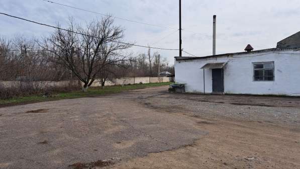 Завод производства масла 862 м. кв, Донецк в фото 3