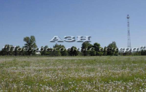 realty_mapper3.plot_in_locationИндивидуальное жилищное ст-во. Площадь 40.00 сот.Есть Электричество.