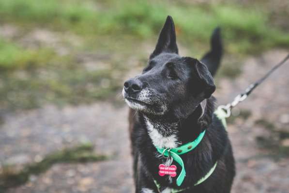 Уникальная Шерри в Москве фото 39
