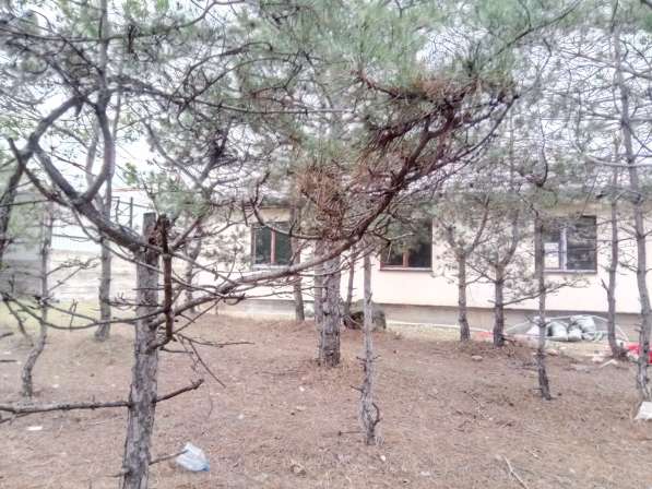 Продам дуплекс в Севастополе