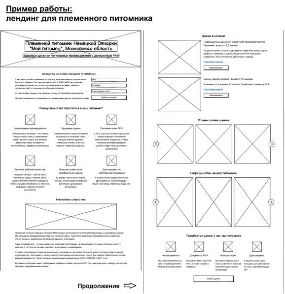 Маркетолог-копирайтер, продающие тексты, лендинги в Москве фото 6