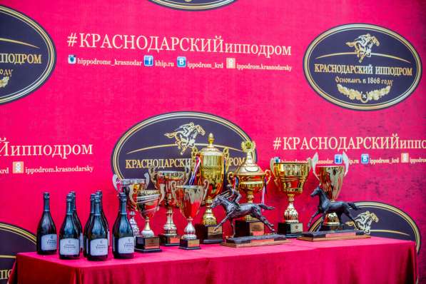Кубок Губернатора Краснодарского края в Краснодаре фото 12