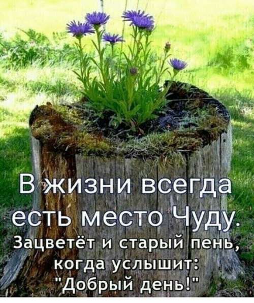 Репетиторство. Подготовка к ВУЗу в Кирове