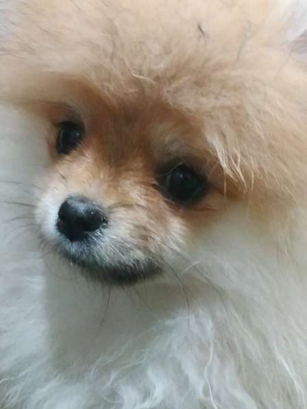 Маленькая чудесная девочка 4 месяца в фото 13