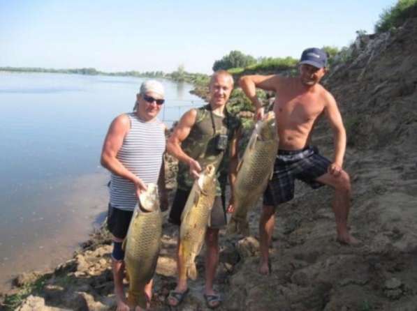 База рыбалки и отдыха Золотая Дельта Астр обл в Астрахани фото 3