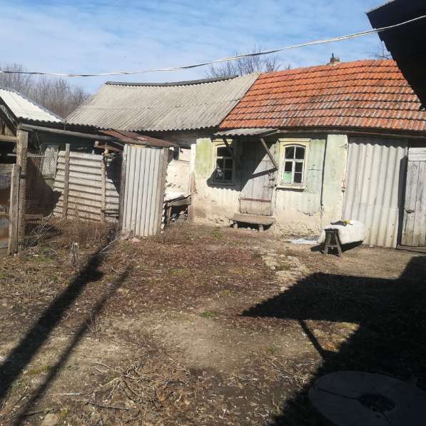 Продам дом с земельным участком в Прохоровке фото 5