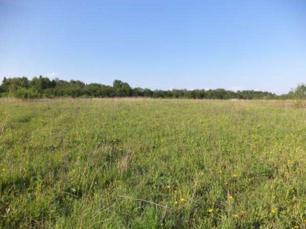 Продается земельный участок 30 соток в деревне Коровино Можайского района, 100 км от МКАД по Минскому шоссе. в Можайске