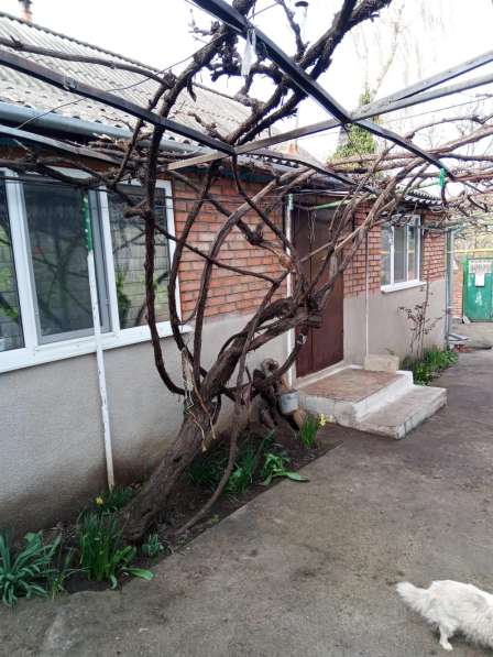 Продажа дома в фото 4