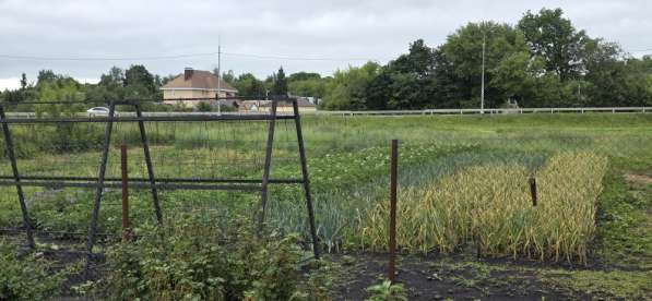 Продам дом в с. Становое в Елеце фото 4