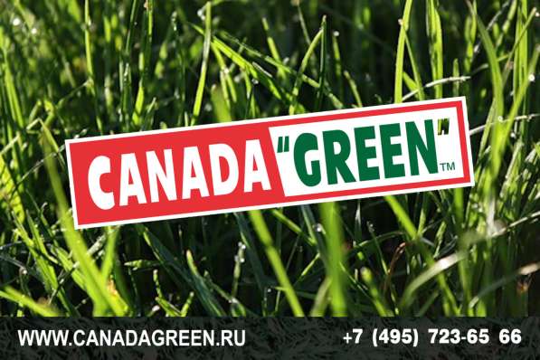 Газонные травосмеси канадагрин в Москве фото 12