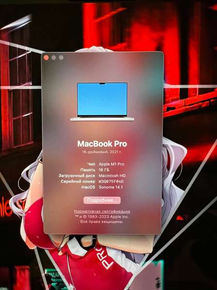 MacBook Pro 16 M1 Pro в Ижевске фото 4