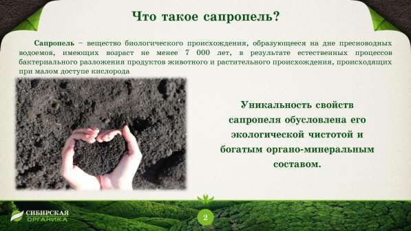 Продаю органическое удобрение (сапропель) в Сочи фото 12
