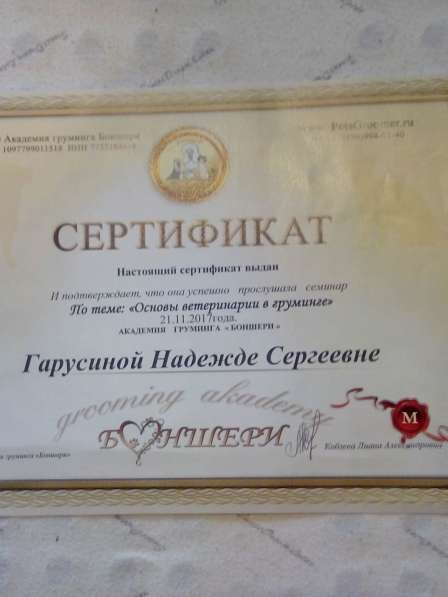 Профессиональная стрижка собак и кошек в Брянске фото 13
