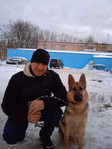 Олег, 52 года, хочет пообщаться в Чехове