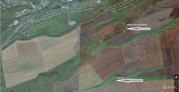 Участок 6 га (СНТ, ДНП) в Бийске