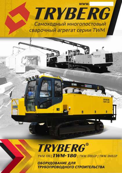 Самоходный Многопостовый Сварочный Агрегат TRYBERG TWM-180 в фото 3