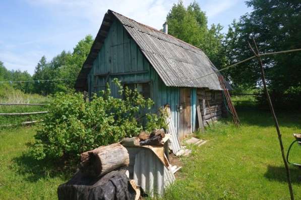 Бревенчатый дом в тихой деревне, недалеко от Рыбинского водо в Москве фото 6
