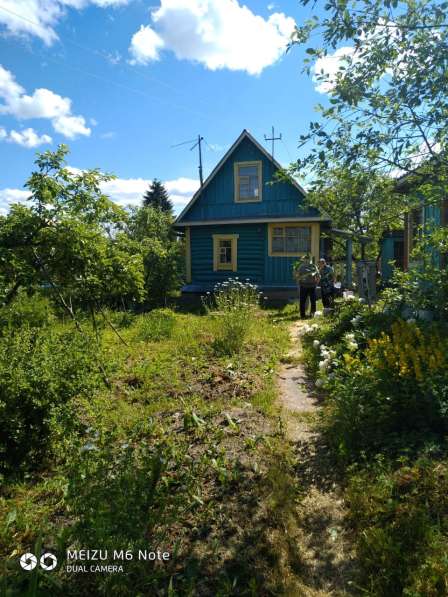 Дача в Киришах СНТ в Санкт-Петербурге фото 4