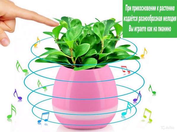 Акустическая колонка Smart Music Flowerpot в Брянске фото 5