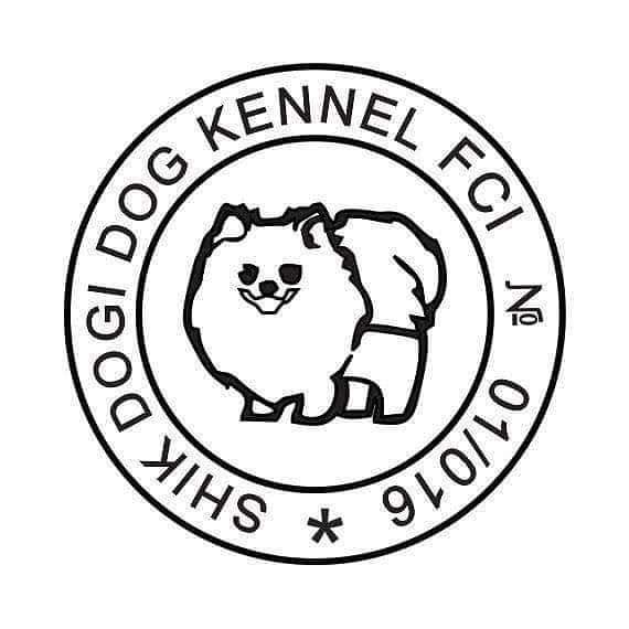 Shik Dogi Dog, official FCI FCG KENNEL в фото 20