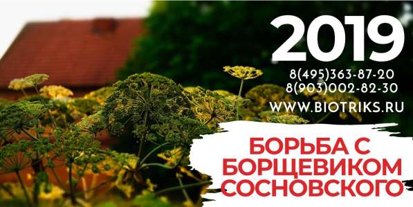 Обработка участков от клещей, борщевика в Истре в Истре фото 7