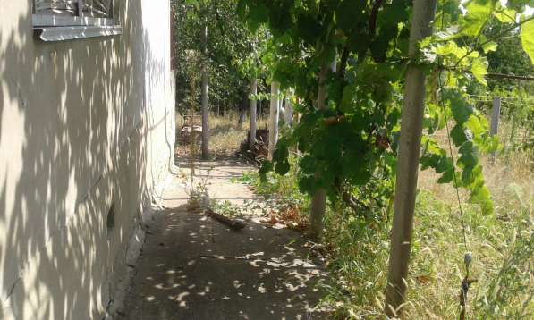 Срочно Продам дом (дача) в фото 33