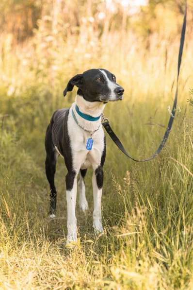 Тихон нуждается в новой истории! в Москве