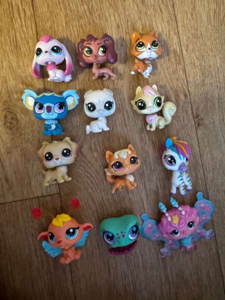 LPS в Рязани фото 6