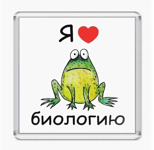 Репетитор по биологии