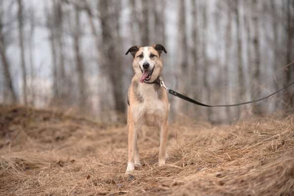 Молодой энергичный Майор ищет семью в Москве фото 57