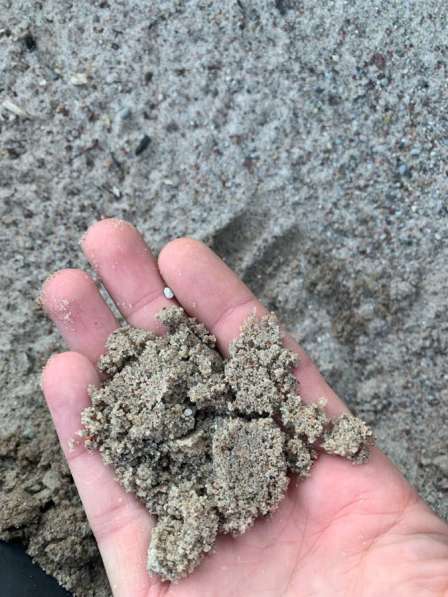 Грунт, песок, пгс в Калининграде фото 5
