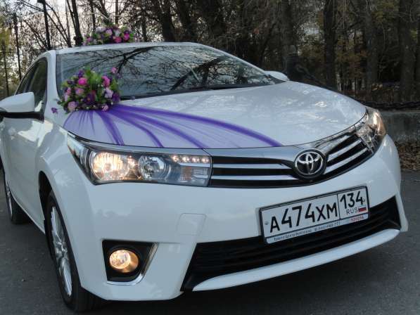 Свадебный кортеж - весь Волгоград машины украшения авто в Волгограде фото 5