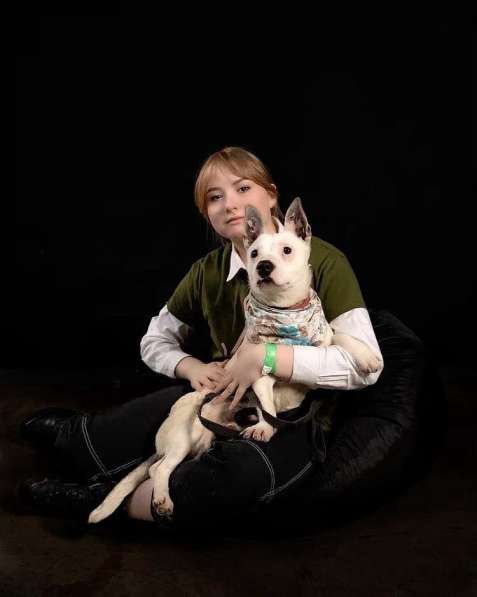 Маленькая умная собачка ищет дом в Санкт-Петербурге фото 20