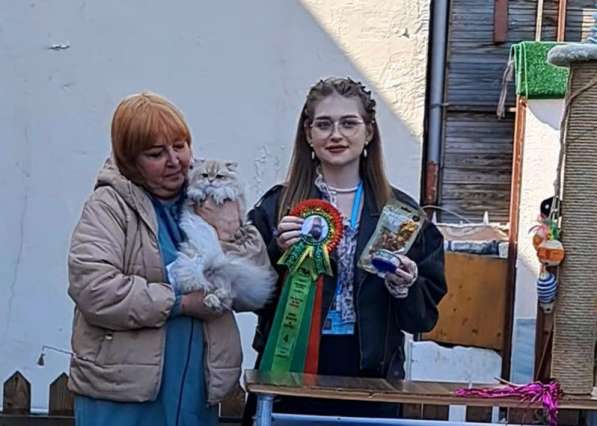 Британка, чемпион в фото 3