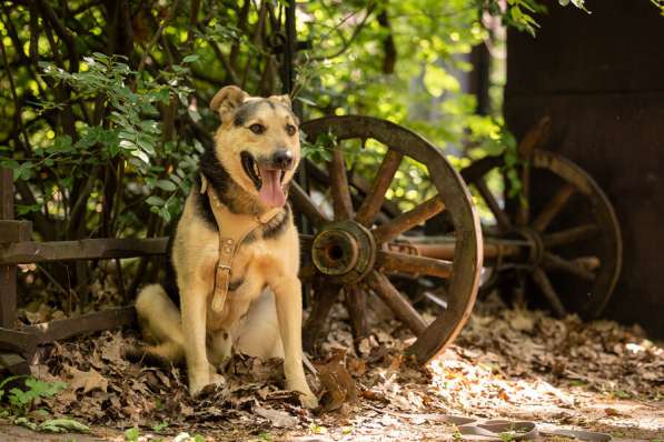 Барри ищет своего человека! в Москве фото 5
