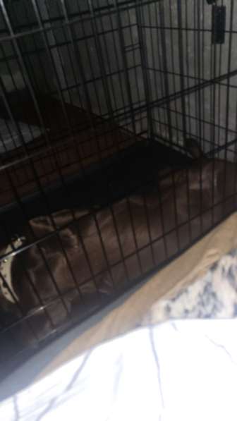 Продам клетку для собаки
