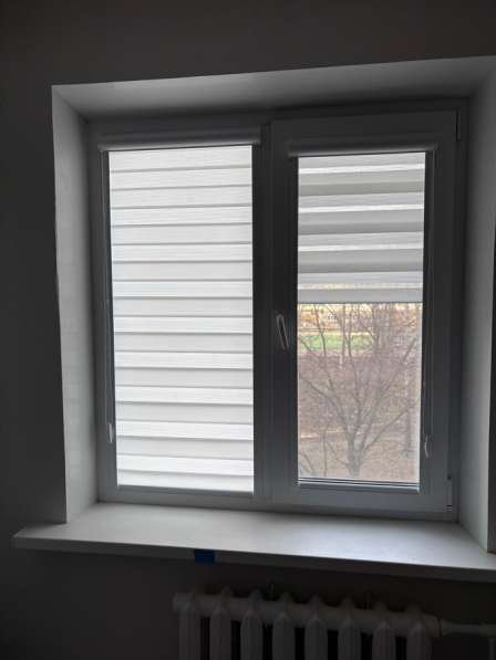 Рулонные шторы зебра