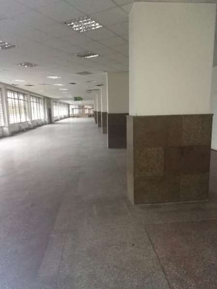 Свободного назначения в Бийске фото 9