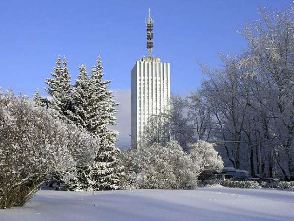 Архангельск Новогодний, экскурсионный тур на 3 дня в Москве фото 4