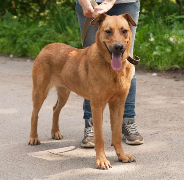 Ксюха хочет домой