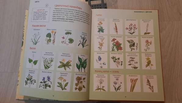 Книга о цветах в Курчатове фото 3