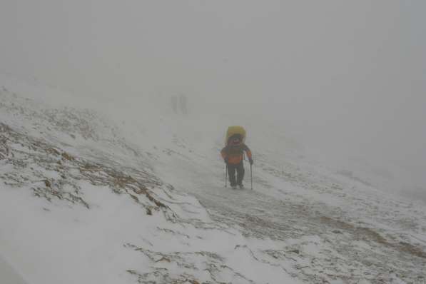 Друг, слушатель, собутыльник, советник на час