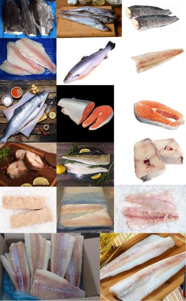 Продам Рыбу-Морепродукты в Одинцово фото 5