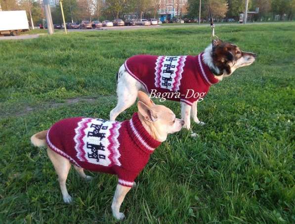 Свитера для собак ручной работы в Москве фото 51